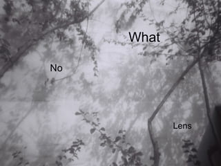 What

No




            Lens
 