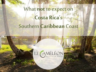 Whatnot to expect on
Costa Rica’s
SouthernCaribbean Coast
 