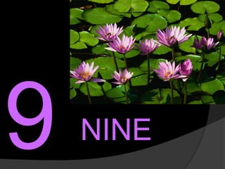 NINE
 
