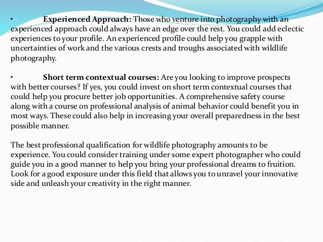 What photography classes to take for wildlife photography