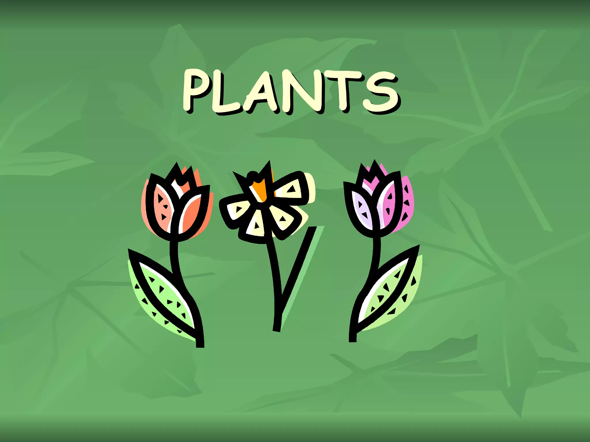 What plants need? PPT