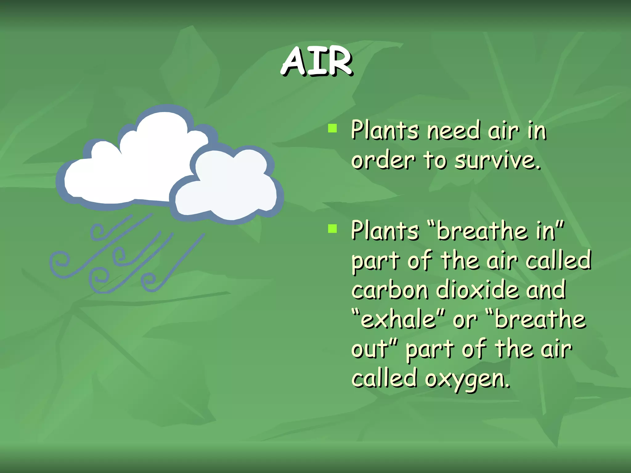 What plants need?