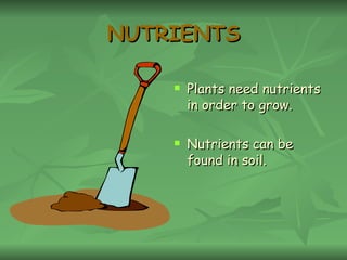 NUTRIENTS Plants need nutrients in order to grow. Nutrients can be found in soil. 
