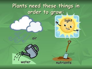 Plants need these things in order to grow: air light water nutrients 