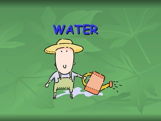 WATER 