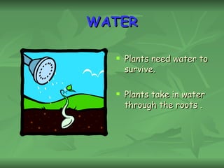 WATER Plants need water to survive. Plants take in water through the roots . 