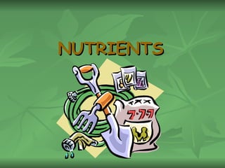 NUTRIENTS 
