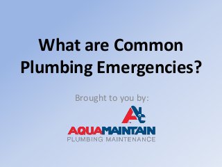 What are Common
Plumbing Emergencies?
Brought to you by:
 