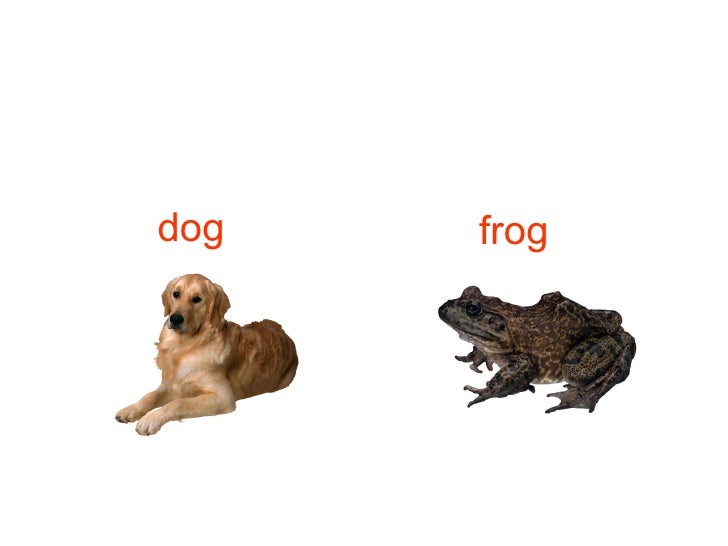 puppy rhymes what rhymes with fish puppy rhymes what rhymes with fish