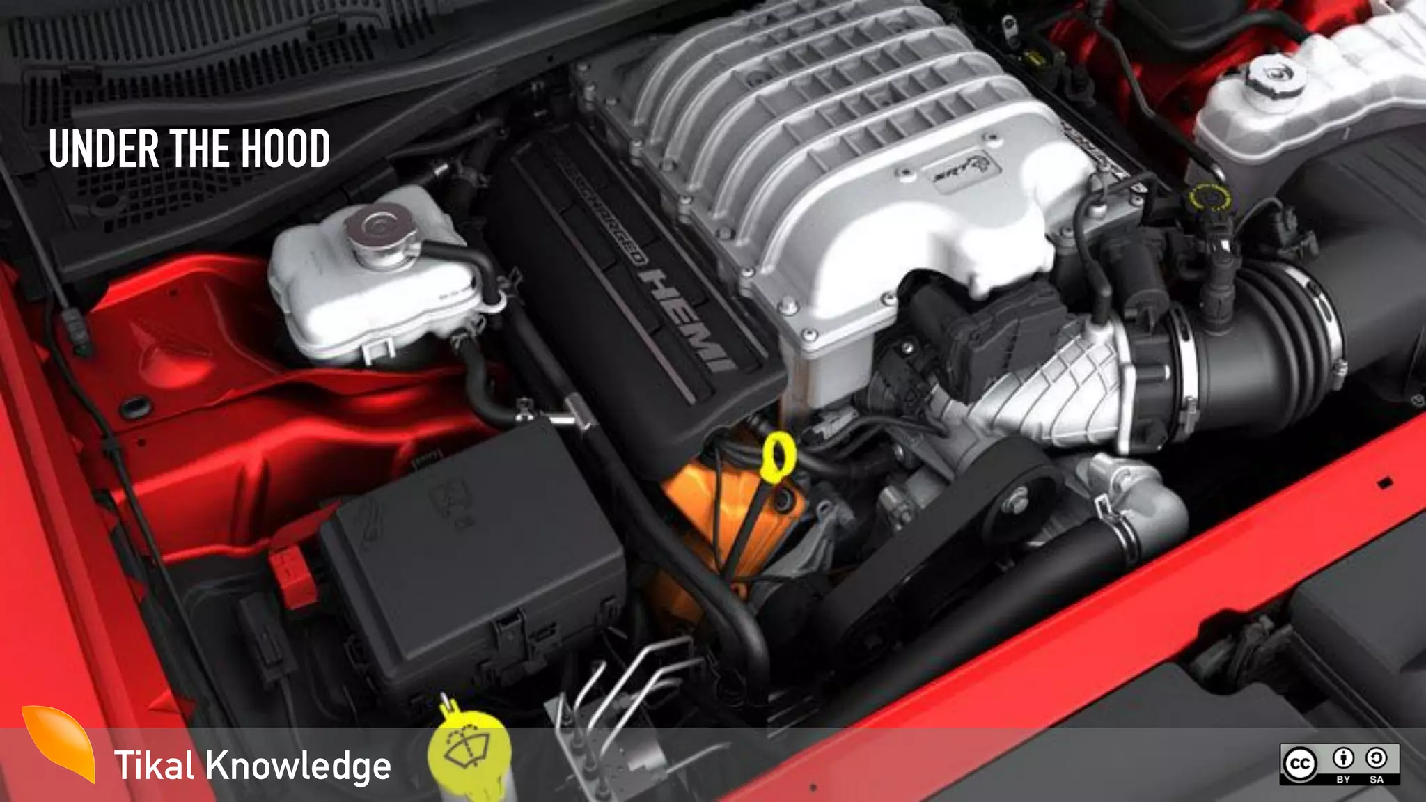 Tikal Knowledge
UNDER THE HOOD
 