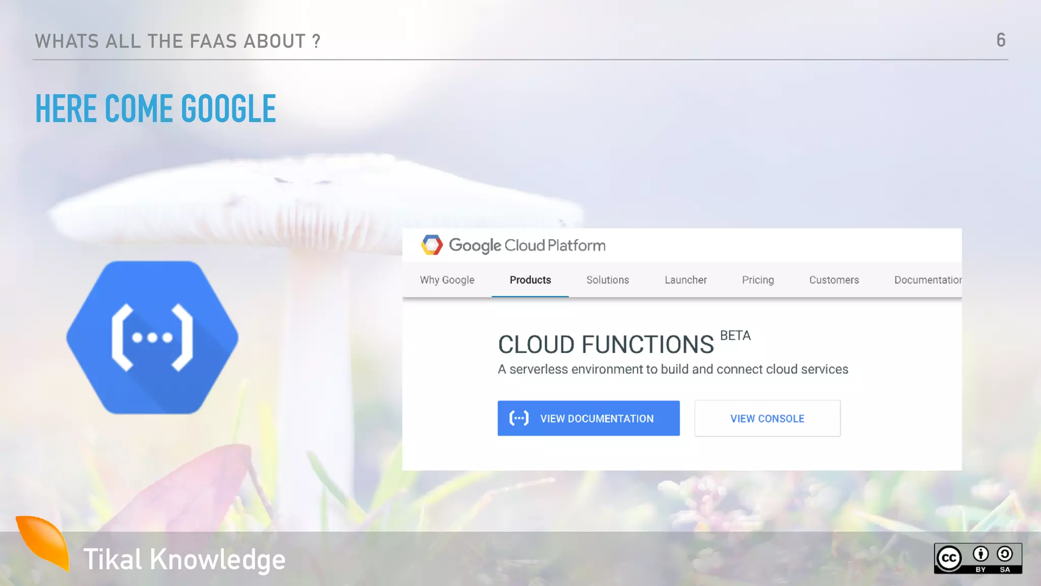 Tikal Knowledge
WHATS ALL THE FAAS ABOUT ?
HERE COME GOOGLE
6
 