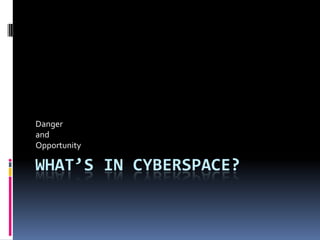 What’s In Cyberspace? Danger and Opportunity 