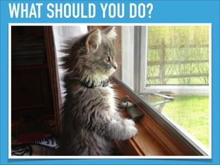 WHAT SHOULD YOU DO?
 