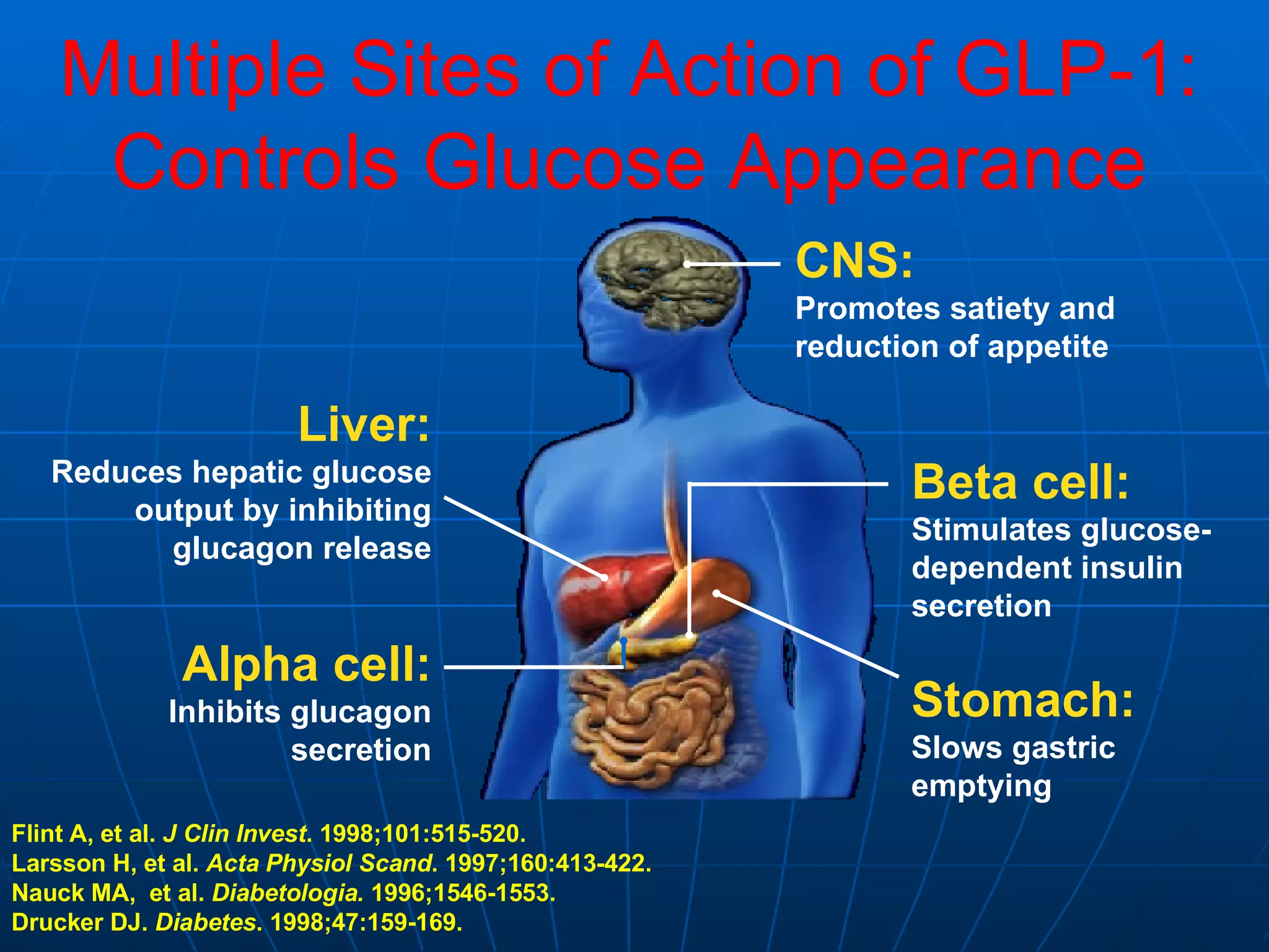 Multiple Sites of Action of GLP-1: Controls Glucose Appearance Flint A, et al.  J Clin Invest . 1998;101:515-520.   Larsson H, et al.  Acta Physiol Scand . 1997;160:413-422. Nauck MA,  et al.  Diabetologia.  1996;1546-1553. Drucker DJ.  Diabetes . 1998;47:159-169. CNS:   Promotes satiety and  reduction of appetite Stomach:   Slows gastric emptying Beta cell: Stimulates glucose-dependent insulin secretion Alpha cell: Inhibits glucagon secretion Liver: Reduces hepatic glucose output by inhibiting glucagon release 