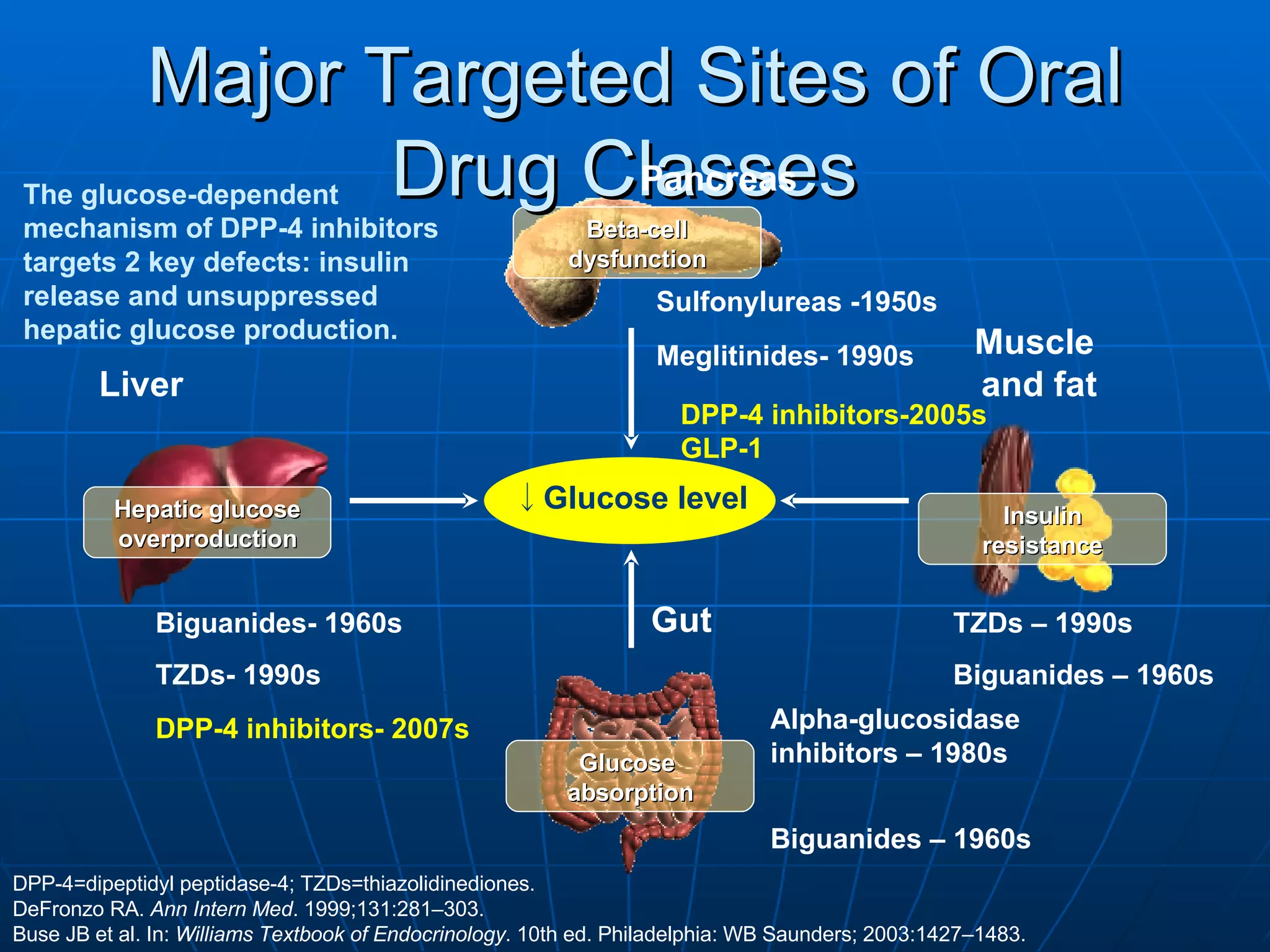 Major Targeted Sites of Oral Drug Classes  Glucose  absorption Hepatic glucose overproduction Beta-cell dysfunction Insulin resistance DPP-4=dipeptidyl peptidase-4; TZDs=thiazolidinediones. DeFronzo RA.  Ann Intern Med . 1999;131:281–303.  Buse JB et al. In:  Williams Textbook of Endocrinology . 10th ed. Philadelphia: WB Saunders; 2003:1427–1483. Pancreas ↓ Glucose level Muscle  and fat Liver Biguanides- 1960s TZDs- 1990s Biguanides – 1960s Sulfonylureas -1950s Meglitinides- 1990s TZDs – 1990s Alpha-glucosidase  inhibitors – 1980s Gut The glucose-dependent mechanism of DPP-4 inhibitors targets 2 key defects: insulin release and unsuppressed hepatic glucose production. DPP-4 inhibitors-2005s GLP-1 DPP-4 inhibitors- 2007s Biguanides – 1960s 