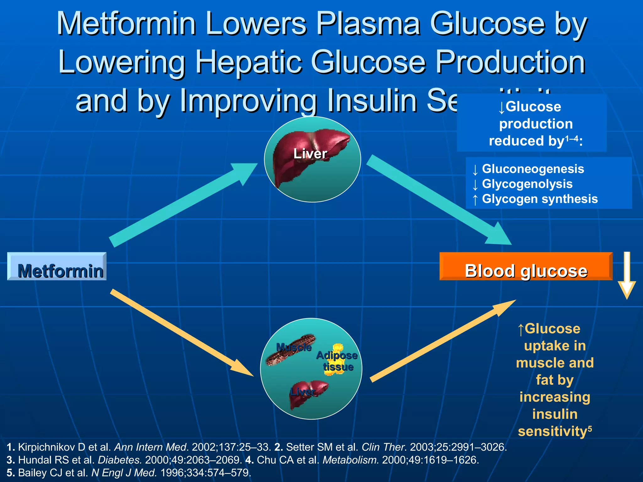 Metformin Lowers Plasma Glucose by Lowering Hepatic Glucose Production and by Improving Insulin Sensitivity Metformin Blood glucose ↑ Glucose  uptake in muscle and fat by increasing insulin sensitivity 5 1.  Kirpichnikov D et al.  Ann Intern Med . 2002;137:25–33.  2.  Setter SM et al.  Clin Ther . 2003;25:2991–3026. 3.  Hundal RS et al.  Diabetes.  2000;49:2063–2069.  4.  Chu CA et al.  Metabolism.  2000;49:1619–1626. 5.  Bailey CJ et al.  N Engl J Med.  1996;334:574–579. Muscle Adipose  tissue Liver ↓  Gluconeogenesis ↓  Glycogenolysis ↑  Glycogen synthesis ↓ Glucose  production reduced by 1–4 : Liver 