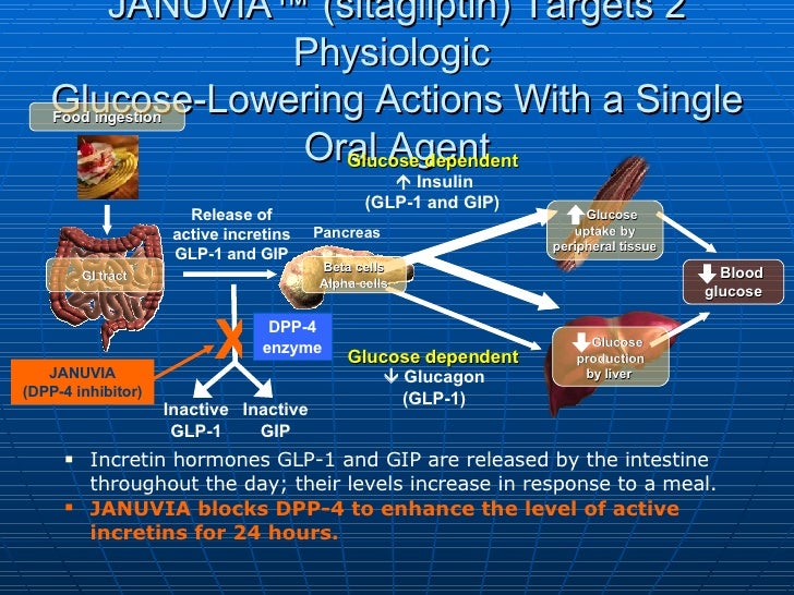 januvia mechanism of action video