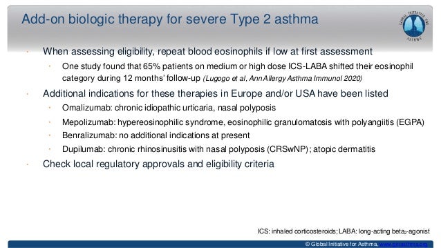 Whats-new-in-GINA-2021_final_V2.pptx