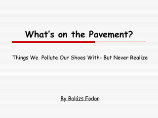 What’s on the Pavement? Things We  Pollute Our Shoes With- But Never Realize   By Balázs Fodor 