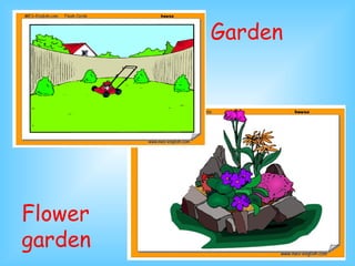 Garden Flower garden 