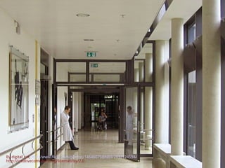 By digital_cat,http://www.flickr.com/photos/14646075@N03/2837124594/
http://creativecommons.org/licenses/by/2.0
 