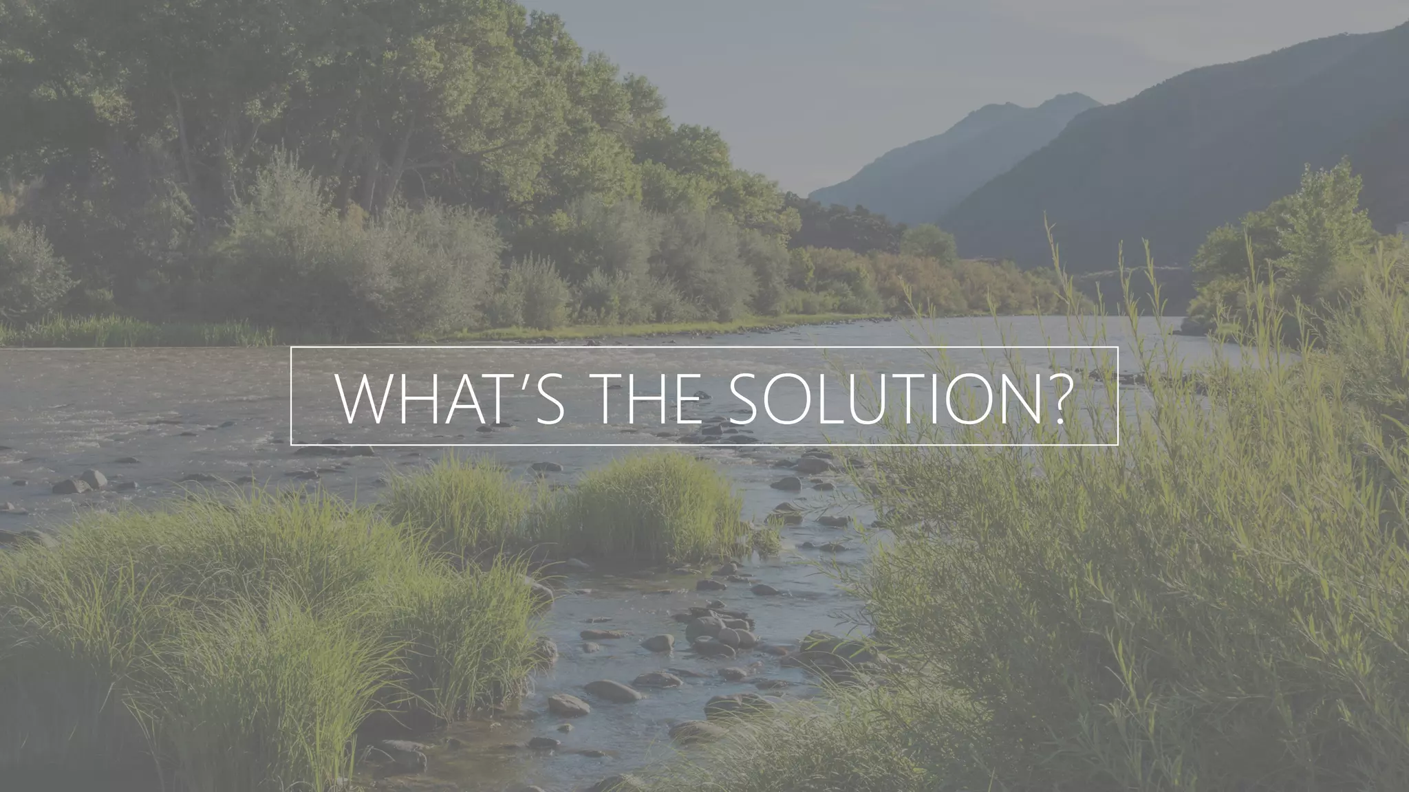 WHAT’S THE SOLUTION?
 