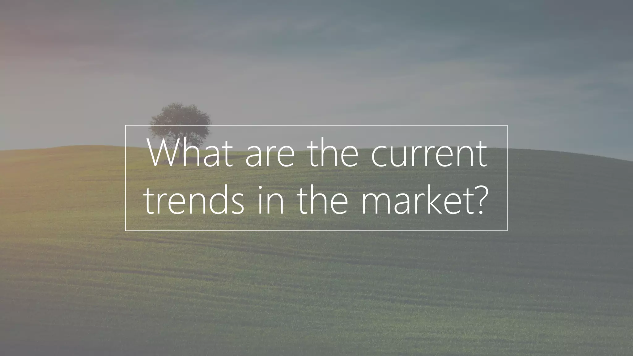 What are the current
trends in the market?
 