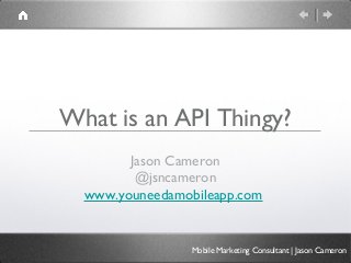 What is an API Thingy?
Jason Cameron
@jsncameron
www.youneedamobileapp.com
Mobile Marketing Consultant | Jason Cameron
 