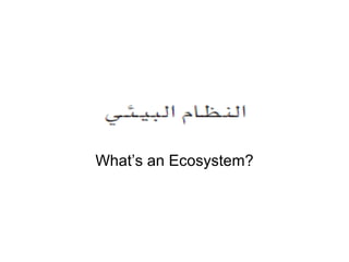 What’s an Ecosystem?
 
