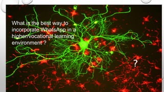 What is the best way to
incorporate WhatsApp in a
higher/vocational learning
environment ?
 