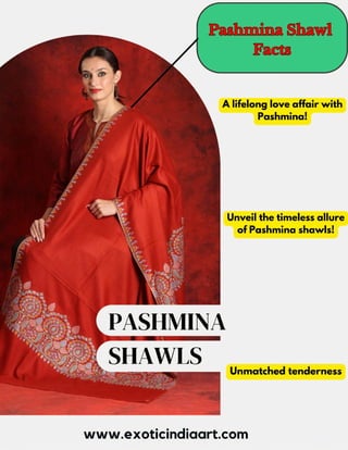 Pashmina Shawls Facts - Embrace the epitome of warmth and style, Pashmina Shawls