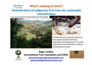 What’s	
  cooking	
  on	
  farms?	
  
    CBD	
  COP	
  11	
  
      17	
  Oct	
  2012	
  

  Domes.ca.on	
  of	
  indigenous	
  fruit	
  trees	
  for	
  sustainable	
  
                         intensiﬁca.on	
  
Tree-­‐enriched	
  farms	
  diversiﬁed	
  and	
  intensiﬁed	
  	
  	
  




                                                                          Tradi2onally	
  and	
  culturally	
  important	
  	
  
                                                                          tree	
  species	
  (foods/medicines)	
  	
  
                                                                          cul2vated	
  and	
  domes2cated	
  	
  for	
  social	
  	
  
                                                                          and	
  economic	
  beneﬁts	
  (value-­‐adding,	
  	
  
                                                                          processing	
  and	
  trade)	
  

                                              Roger	
  Leakey	
  
                              Interna.onal	
  Tree	
  Founda.on	
  and	
  ICRAF	
  
                                   www.interna.onaltreefounda.on.org	
  
                                    www.worldagroforestrycentre.org	
  
 