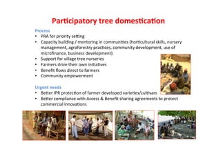  What’s cooking on farms? CBD COP 11 - 17 Oct 2012 Domestication of indigenous fruit trees for sustainable intensiﬁcation