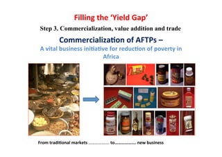  What’s cooking on farms? CBD COP 11 - 17 Oct 2012 Domestication of indigenous fruit trees for sustainable intensiﬁcation