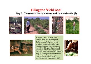  What’s cooking on farms? CBD COP 11 - 17 Oct 2012 Domestication of indigenous fruit trees for sustainable intensiﬁcation