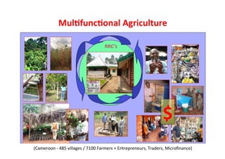  What’s cooking on farms? CBD COP 11 - 17 Oct 2012 Domestication of indigenous fruit trees for sustainable intensiﬁcation