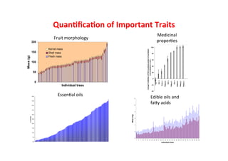  What’s cooking on farms? CBD COP 11 - 17 Oct 2012 Domestication of indigenous fruit trees for sustainable intensiﬁcation