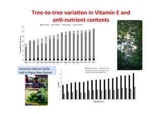  What’s cooking on farms? CBD COP 11 - 17 Oct 2012 Domestication of indigenous fruit trees for sustainable intensiﬁcation