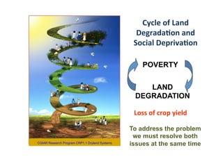  What’s cooking on farms? CBD COP 11 - 17 Oct 2012 Domestication of indigenous fruit trees for sustainable intensiﬁcation