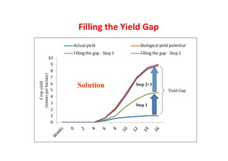  What’s cooking on farms? CBD COP 11 - 17 Oct 2012 Domestication of indigenous fruit trees for sustainable intensiﬁcation