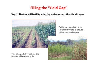  What’s cooking on farms? CBD COP 11 - 17 Oct 2012 Domestication of indigenous fruit trees for sustainable intensiﬁcation