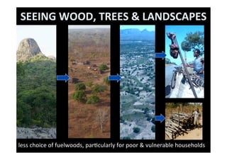 SEEING THE WOOD FOR THE TREES:beyond	  bio-forﬁcation: nutrion, cooking &amp; health