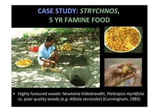 SEEING THE WOOD FOR THE TREES:beyond	  bio-forﬁcation: nutrion, cooking &amp; health