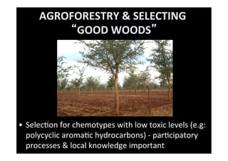 SEEING THE WOOD FOR THE TREES:beyond	  bio-forﬁcation: nutrion, cooking &amp; health