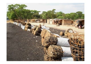 SEEING THE WOOD FOR THE TREES:beyond	  bio-forﬁcation: nutrion, cooking &amp; health