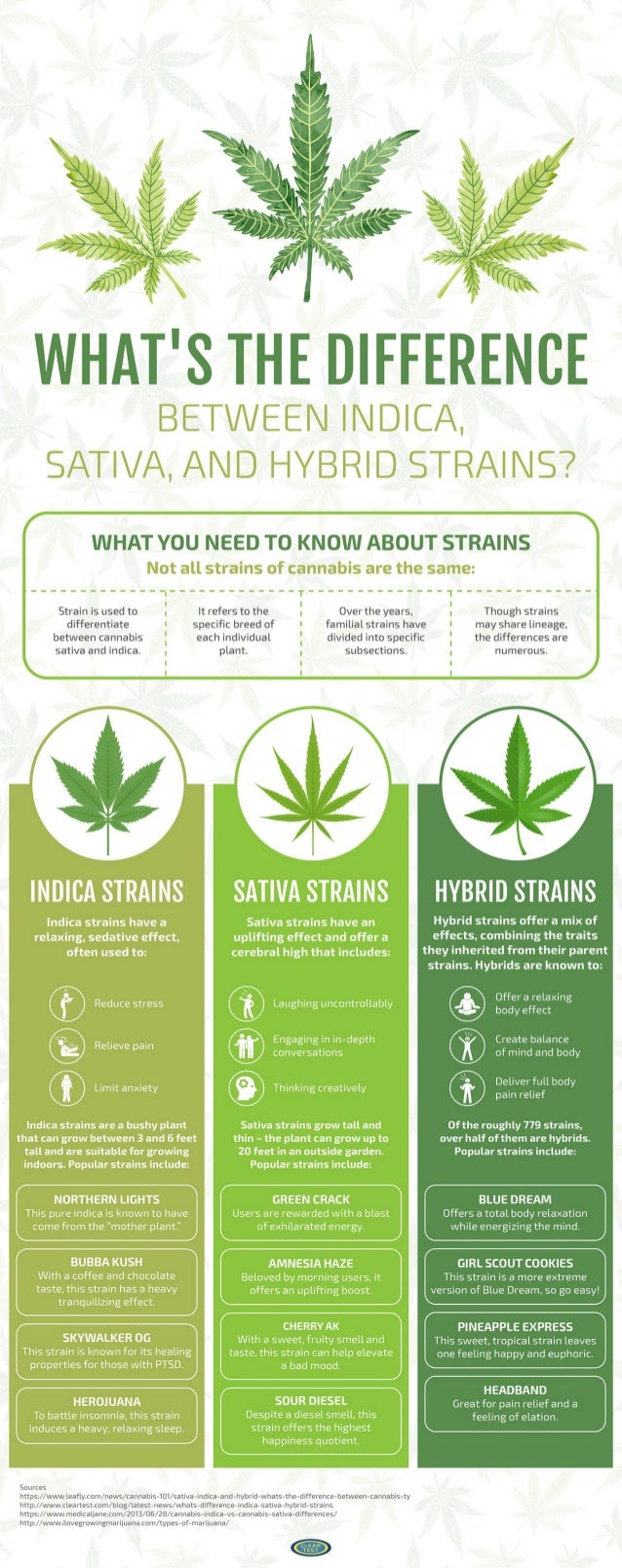 What’s Difference Between Indica, Sativa, and Hybrid Strains?