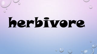 herbivore

 