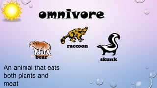 omnivore
raccoon
bear

An animal that eats
both plants and
meat

skunk

 