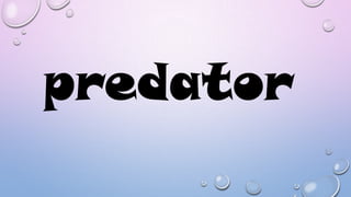 predator

 