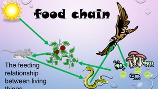 food chain

The feeding
relationship
between living

 